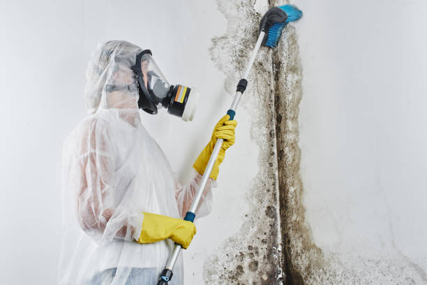 Best Residential Mold Inspection & Testing  in Mobridge, SD